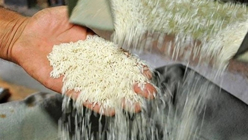 The stages of converting paddy into rice in paddy field and rice field