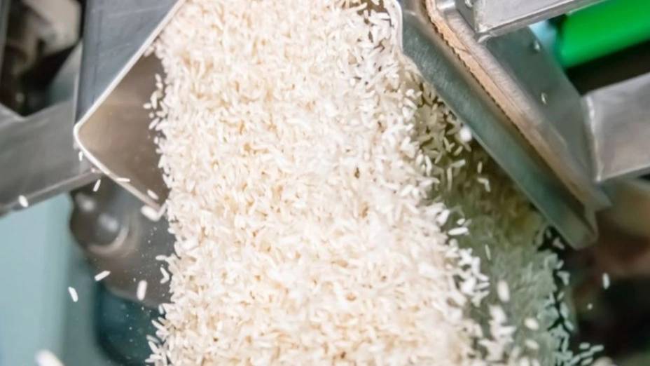 مراحل تبدیل شالی به برنج در شالیکوبی و برنجکوبی مراحل تبدیل شالی به برنج در شالیکوبی و برنجکوبی